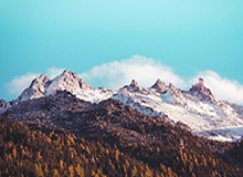 云体育入口-CBA罚单不停，界定标准有待明晰